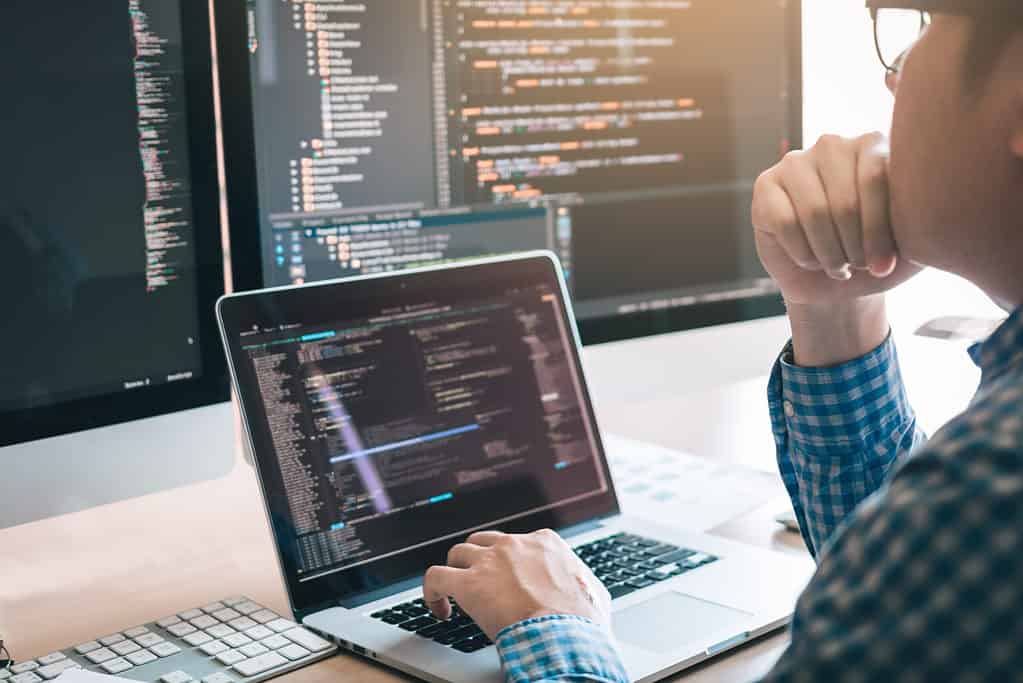 What Does a Software Development Company do?