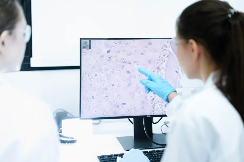 Medical researchers examining cellular microscopy imaging data, demonstrating the scientific analysis supported by Flexomics platform