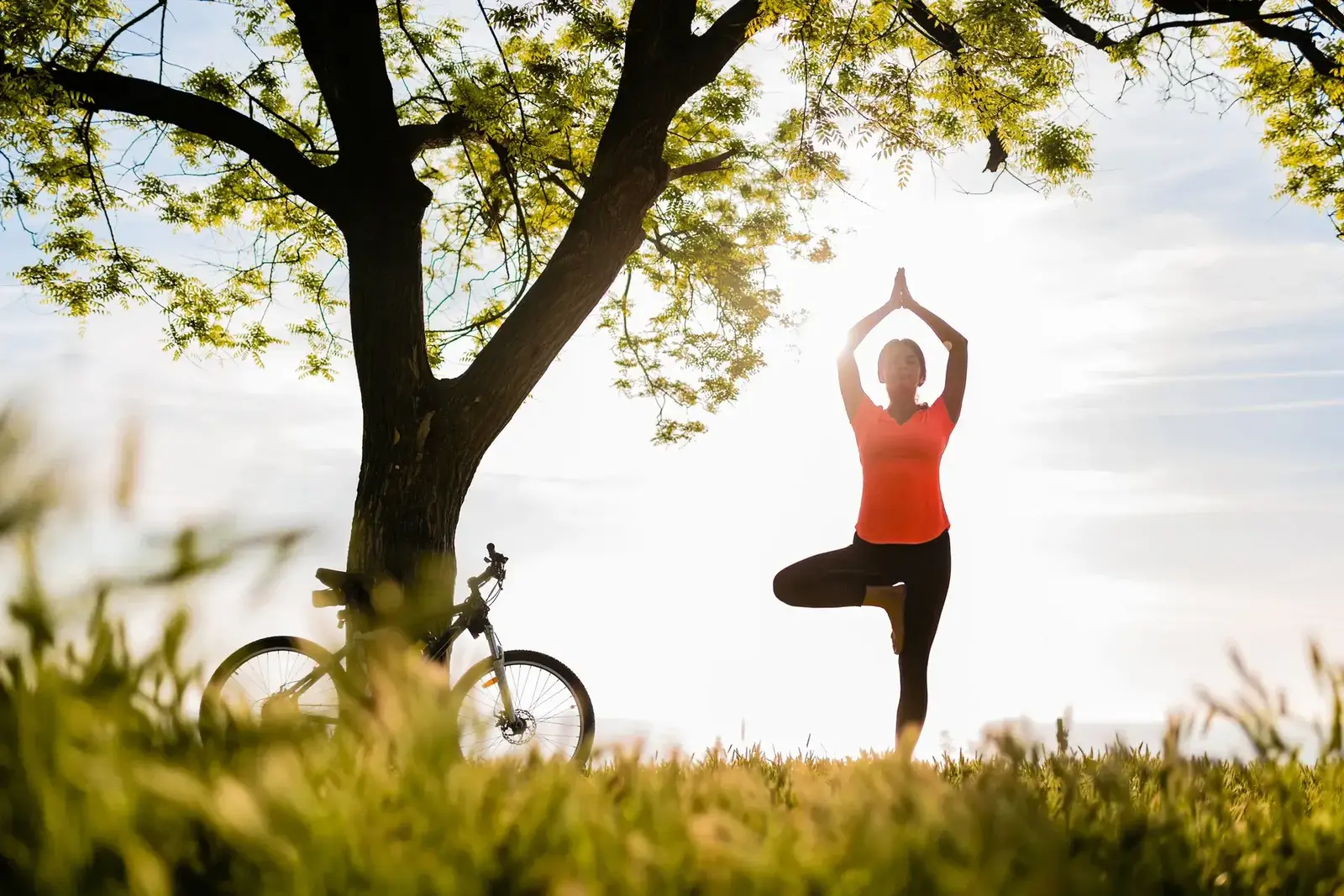 From Concept to Consumer Wellness App
