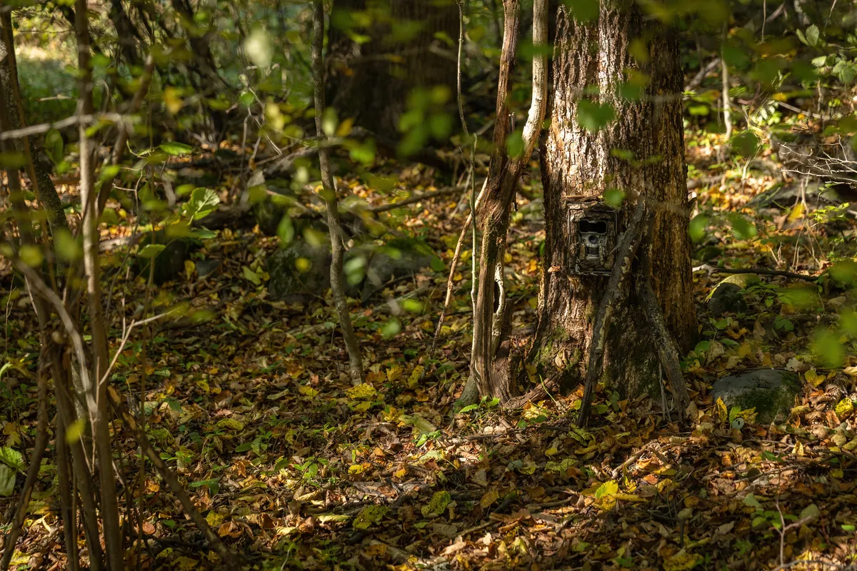 Product Development and IoT for Remote Camera Management